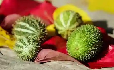 아이폰16 사전예약 일정과 성공적인 알림 신청 방법 알아보자