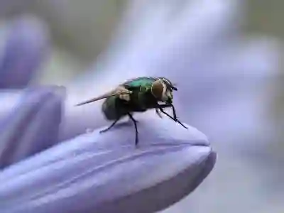 여드름 유발 음식과 그 해결법 알아보기