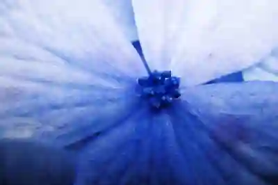 트라택 AS 고객센터 전화번호와 서비스센터 정보 알아보자