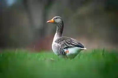 ABL 치아보험 청구서류와 고객센터 전화번호 알아보자