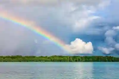 KBS1 실시간 다시보기를 위한 알아두면 좋은 팁