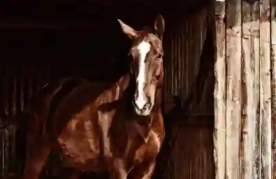 신용보증재단 대출로 안정적 자금 확보하는 방법 알아보자