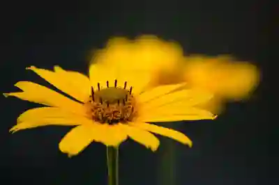 논산 중학생 성폭행 사건의 경과와 검찰 판결 살펴보기