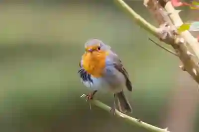 동양생명 홈페이지 이용을 위한 꿀팁 알아보자
