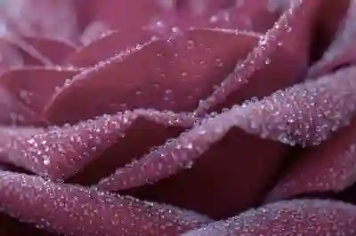레노버 드라이버 다운로드 꿀팁 알아보자