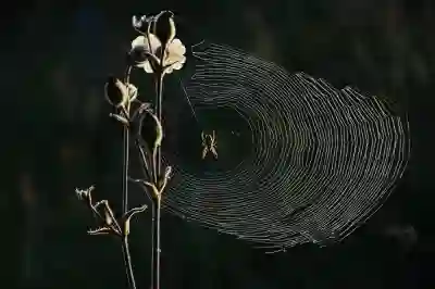 성주군청 직장협의회 주요 안내 살펴보기