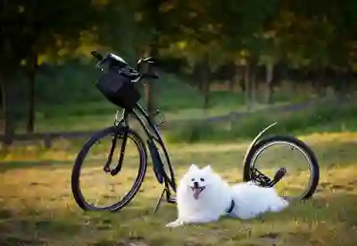 요양 보호사 자격증 재발급 방법 알아보자
