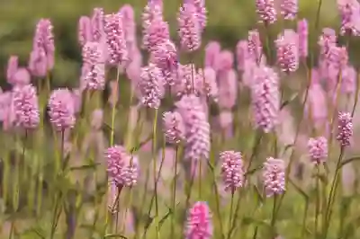 전남 육아종합지원센터 서비스와 이용 팁 알아보자