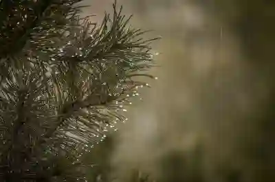 차령경감율을 쉽게 이해하는 방법 살펴보기