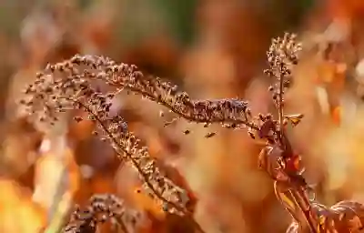 트레이더스 멤버십의 장점과 혜택 알아보자