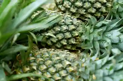 파주 에너지지원금 신청 방법과 지원 대상 알아보자