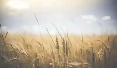 공무원 연금 예상 수령액 계산하는 꿀팁 알아보자