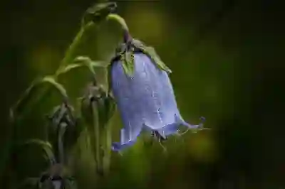 변비에 좋은 음식 5가지 알아보자
