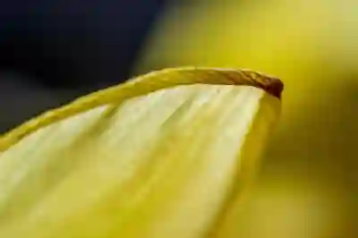 부산북구 노인 전문 제1병원 예약과 진료정보 알아보자