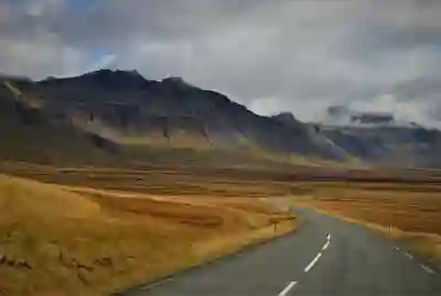 임상병리학과 취업률과 전망을 알아보자