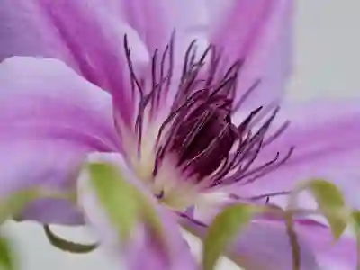 전세자금 반환대출 자격 요건과 조건 알아보자