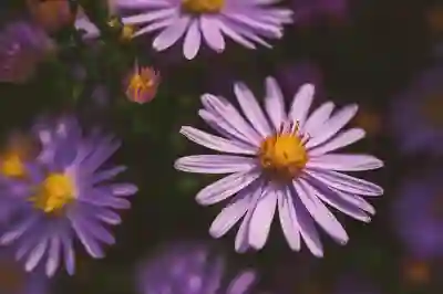 톨게이트 삼성페이 결제 꿀팁 알아보자