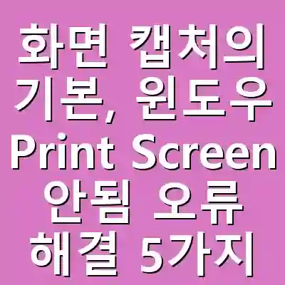 화면 캡처의 기본, 윈도우 Print Screen 안됨 오류 해결 5가지 방법 (윈도우 PrtScn 키 안됨)